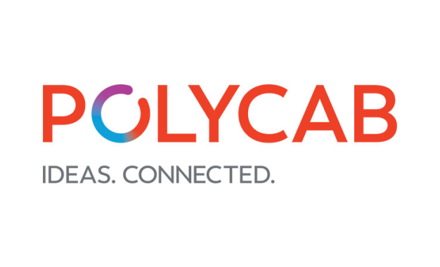 Digital Marketing Agency for Polycab